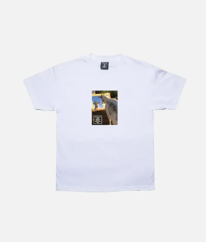 Adwysd Believe T Shirt White